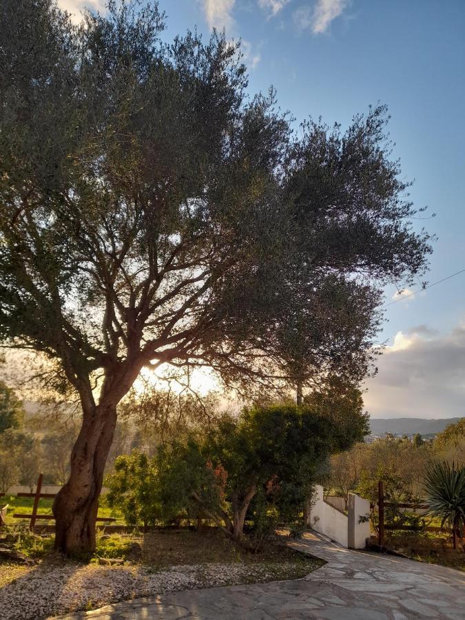 Agriturismo Palas De Serra Country Resort Onifai Luaran gambar