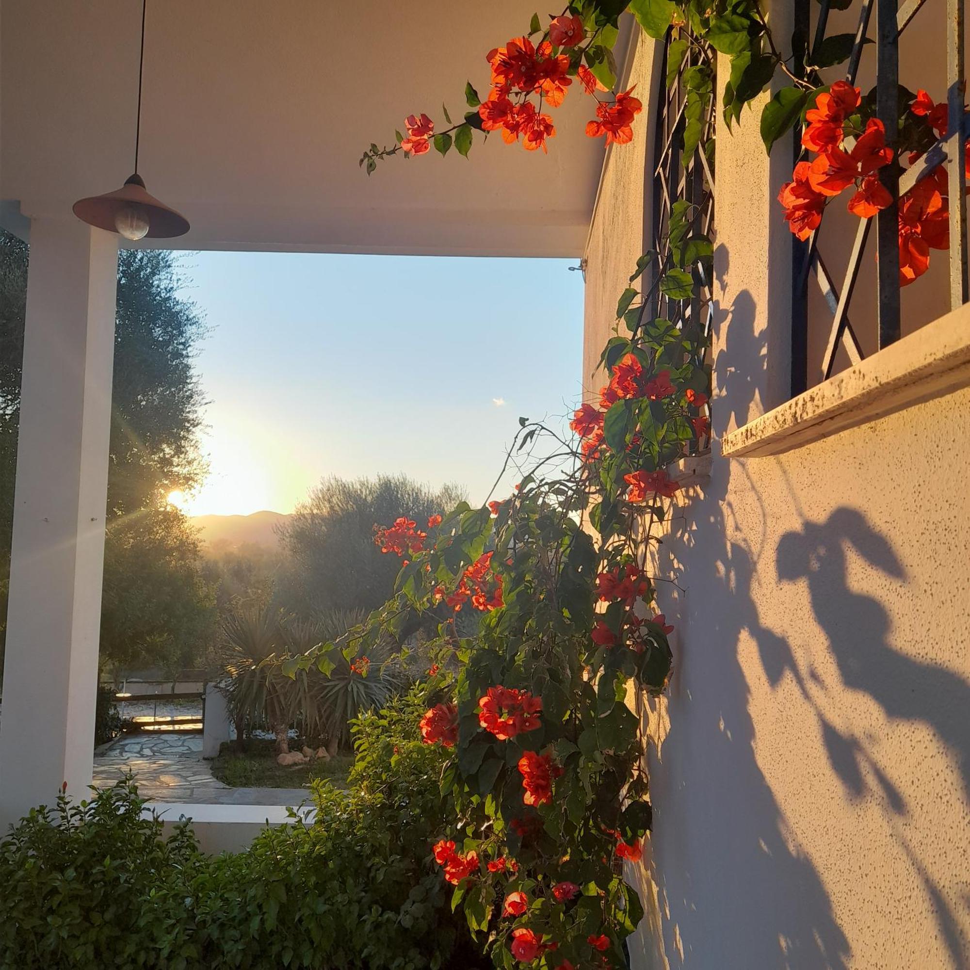 Agriturismo Palas De Serra Country Resort Onifai Luaran gambar
